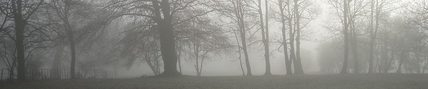 Random header image... Refresh for more!
