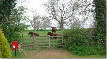 May 2009 013