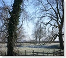 Hemingby winter scent march07