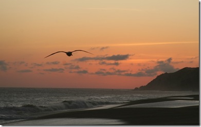 Annies Sunset 2
